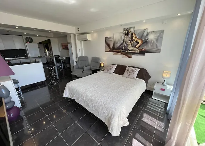 2 Couchages Cap D'agde Naturisme Cn060-ab131 Appartamento